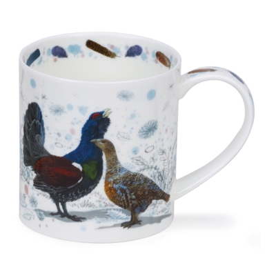 ORKNEY GAMEBIRDS CAPERCAILLIES