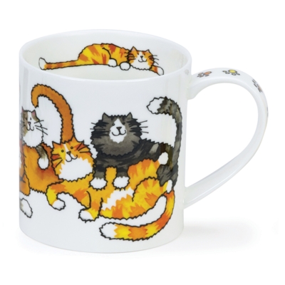 ORKNEY JUMBLED CATS