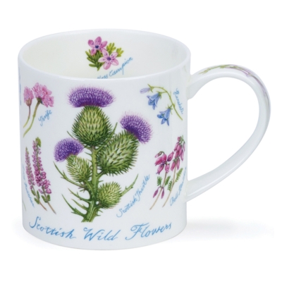 ORKNEY SCOT WILDFLOWERS
