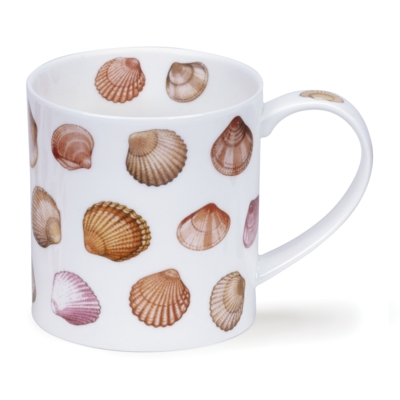 ORKNEY SHELLS