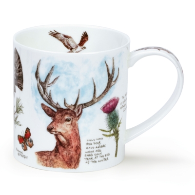 ORKNEY SCOTTISH NBOOK STAG