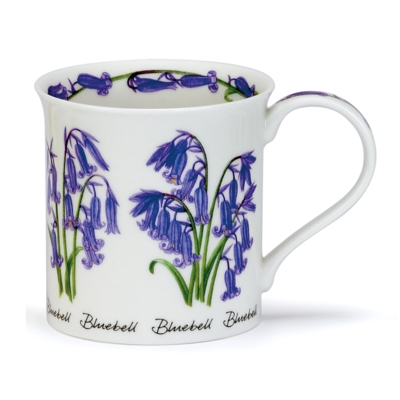 BUTE SPRING FLOWERS BLUEBELL