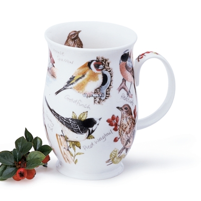 SUFF BIRDLIFE GOLDFINCH