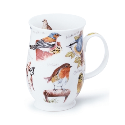 SUFF BIRDLIFE ROBIN