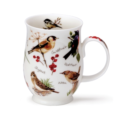 SUFF DAWN SONG GOLDFINCH