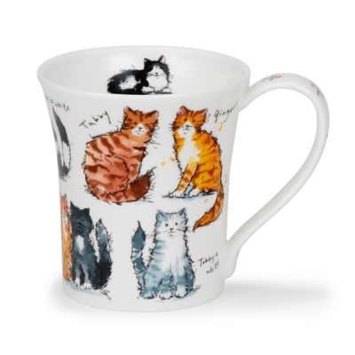 JURA MESSY CATS