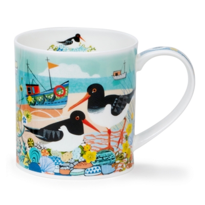 ORKNEY SHORE BIRDS OYSTER CATC