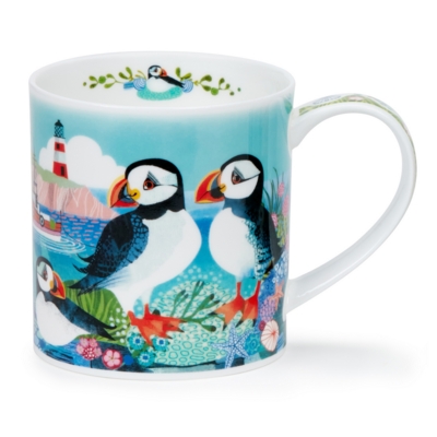 ORKNEY SHORE BIRDS PUFFIN