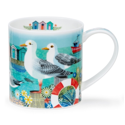 ORKNEY SHORE BIRDS SEAGULL