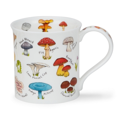 Mushrooms and Toadstools