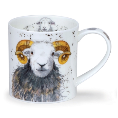 Shaggy Sheep